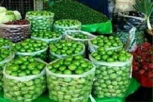گوجه سبز ۲۲۰ هزار تومانی؟!