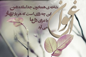شعر ارغوان از مرحوم هوشنگ ابتهاج "سایه"