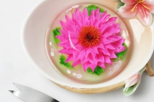 آموزش ژله تزریقی با سرنگ معمولی + فیلم
