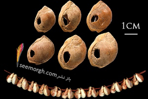 قدیمی ترین جواهرات متعلق به 130.000 سال پیش! + عکس
