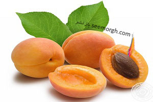 هسته زردآلو بمب انرژی و سلامت است، هسته زردآلو را دور نریزید