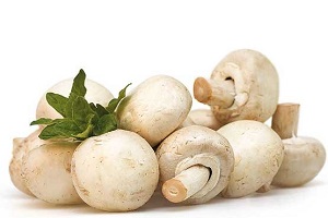 مصرف قارچ برای چه افرادی ممنوع است