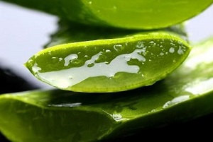 فواید آب آلوئه ورا از کنترل قندخون تا تسکین زخم معده
