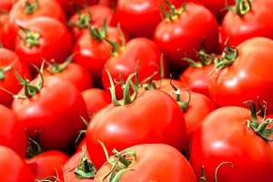 صادرات گوجه فرنگی مجدد آزاد شد