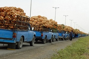 ممنوعیت صادرات سیب زمینی و پیاز از ۱۵ فروردین