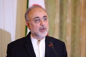 صالحی: باید دید قول‌های اروپایی‌ها عملی می‌شود یا خیر