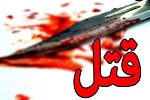 قاتل: پدرم گوشتکوب به طرفم پرت کرد، من هم کشتمش!