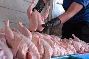 مرغ پایین نیامد، چای اوج گرفت