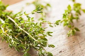 آویشن چه دارای چه خواصی می باشد