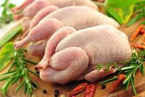 روش هایی برای تشخیص گوشت تازه و مرغ سالم