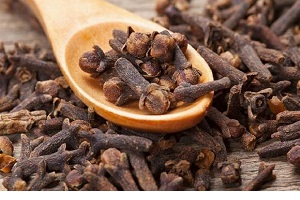 تاثیرات عصاره میخک در بهبود کرونا ویروس
