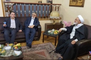 کرباسچی بعد از ۱۰سال با کروبی دیدار کرد