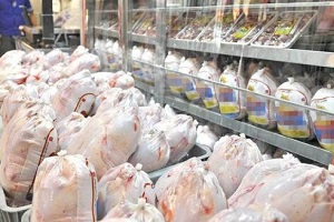 قیمت مرغ سقف ۲۰هزار تومان را زد