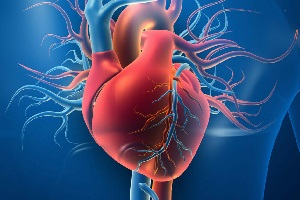 مهم ترین علائم بیماری قلبی: ورم پا و ورم شکم 