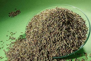 گیاهی برای درمان دردهای گوارشی