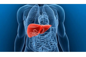 از چه سنی چکاب کبد را شروع کنیم