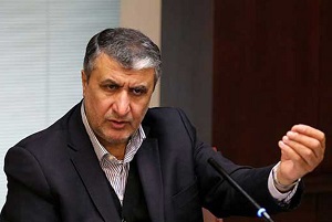 توضیحات مهم اسلامی درباره بازرسان اخراج شده آژانس