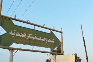 شرکت نیشکر هفت تپه به بیت‌ المال بازگشت
