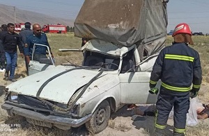 برخورد خودرو به شتر در شیراز یک کشته داد 