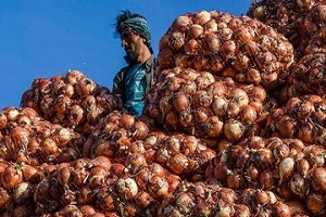 ماجرای محکومیت میلیاردی قاچاقچی پیاز