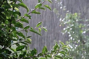 رگبار باران، باد و خاک در نقاط مختلف کشور 