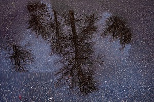 پیش بینی هواشناسی، 10 اسفند 1401