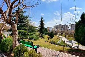 استقرار ماموران لباس شخصی در 200 بوستان تهران