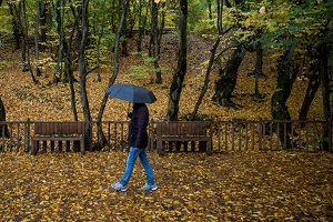 ۱۵ استان کشور تا ساعاتی دیگر منتظر باران باشند۱۵ استان کشور تا ساعاتی دیگر منتظر باران باشند