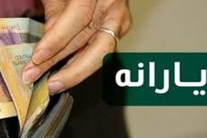 نیکزاد: ۱۱۰ هزار تومان به هر نفر یارانه می‌ دهیم!