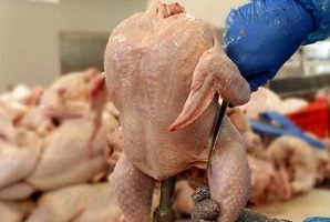 قیمت جدید مرغ اعلام شد 
