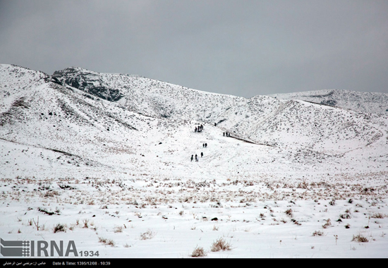 طبیعت زمستانی زیبای نیشابور