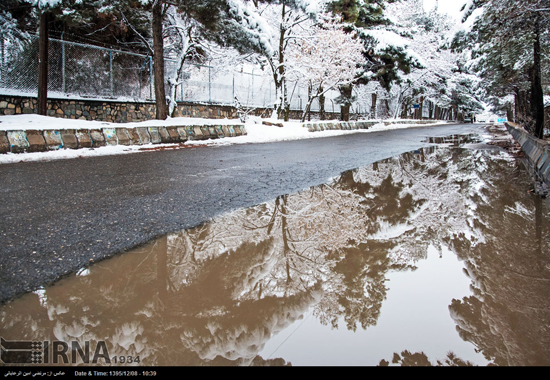 طبیعت زمستانی زیبای نیشابور