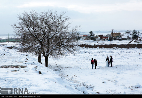 طبیعت زمستانی زیبای نیشابور