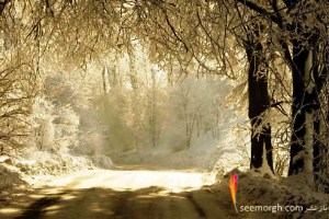 عکس های بسیار زیبا از زمستان و طبیعت برفی