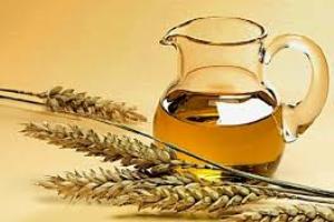 فایده های بی نظیر روغن جوانه گندم