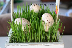 چیدن سفر هفت سین یکی از سنت های ایرانیان برای نوروز و سال نو است. یکی از اجزای اصلی سفره هفت سین سبزه عید است. سبزه عید سفره هفت سین تان را اینگونه تزیین کنید.