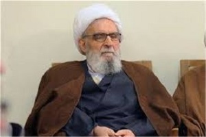 آیت الله واعظ طبسی به کما رفت