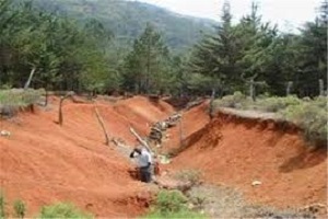 این قاچاق خیلی دردناک است