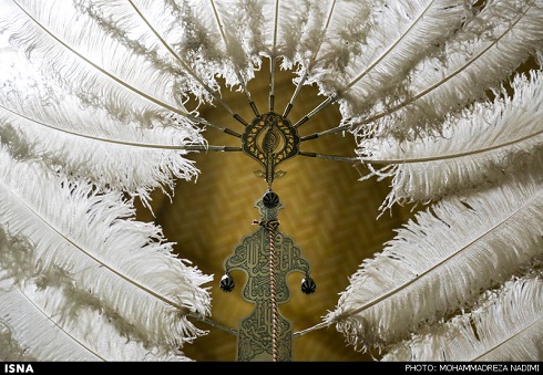 هنرنمایی یک زن روی علم -5