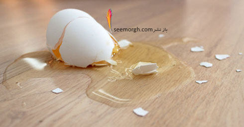 از بین بردن لكه سفیده تخم مرغ