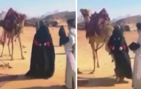لگد زن شتر به بازیگر زن