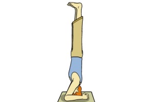 حرکات یوگا - حرکت ایستادن روی سر ( Head Stand )