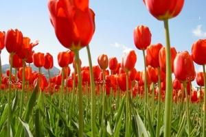 13 آبان، روز مبارزه با استكبار جهاني 