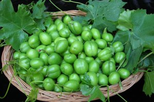گوجه سبز