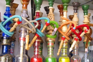 گل محمدی