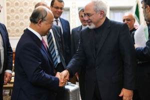 دیدار ظریف و آمانو +تصاویر