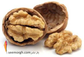 گردو را دریابید