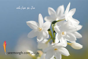  آداب عید نوروز در تهران قدیم