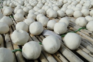 کشک سنتی بخوریم یا صنعتی؟