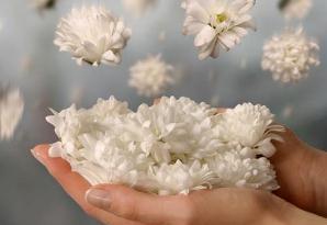ترجمه بخشی از دعای عرفه از دکتر شریعتی